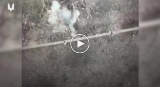 Ukrainian special forces destroy the enemy in the Avdiivka direction
