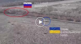 A Ukrainian tank crew destroys occupier positions in a copse