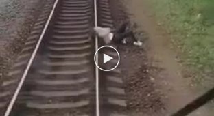 В Подмосковье машинисты поезда спасли девушку, которая не желала быть спасенной