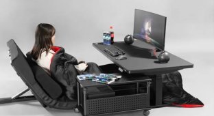 У Японії придумали систему підйому матраца для ігор (4 фото)