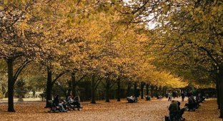 Autumn London beckons with mystery (9 photos)