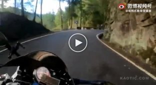 Мотоциклист и неожиданный гость на повороте