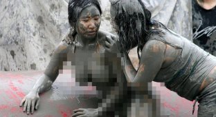 Фестиваль бруду в Південній Кореї або божевільні веселощі без сорому (8 фото)