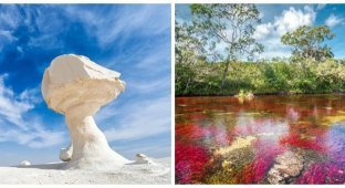 10 fantastic natural wonders that will take your breath away (21 photo)