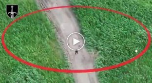 UAV operators of the 33rd Separate Mechanized Brigade destroy Russian infantry