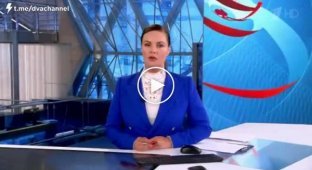 На российском телевидении заявляют, что Алексея Навального отравили не в России