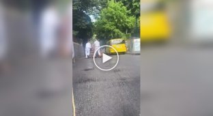 В Португалии начали спускаться с гор на гигантских корзинах для белья