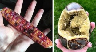 20 amazing photos you should see at least once in your life (21 photos) (photo)