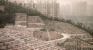 Вертикальные кладбища Гонконга: "Пространство мёртвых" (12 фото)