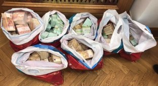 Деньги в сейфах, пакетах и коробках — фото обыска чиновника Ростехнадзора (5 фото)