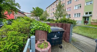 How they hide trash cans in Germany (6 photos)