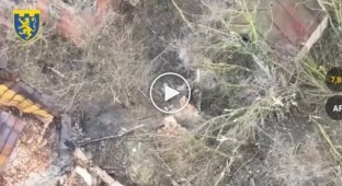 8 оккупантов вышли из подвала и сдались в плен нашим теробороновцам в Сумской области