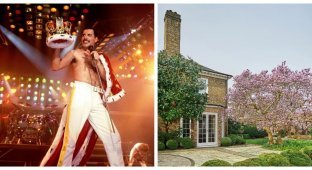 Freddie Mercury's mansion is put up for sale for the first time (7 photos)