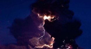 Невероятные фото электрического шторма в облаке пепла при извержении вулкана (10 фото)