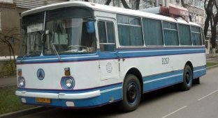 Автобусы в разных городах России (29 фото)
