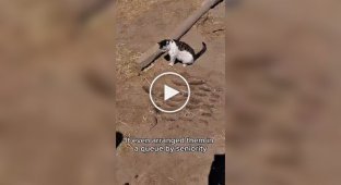 A cat had a wonderful hunt