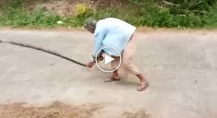 Тайская бабушка разобралась со змеей, которая заползла в её дом