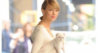 Taylor Swift's cat makes more money than her football player boyfriend (2 photos)