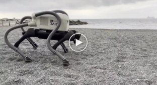 In Italy, a robot was developed to clean up cigarette butts on the beaches