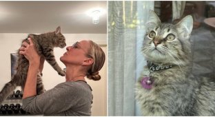 Сара Джессика Паркер приютила котика-актёра, с которым снималась в сериале (4 фото)