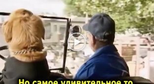 Автошкола для собак