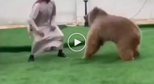 Arab man playing catch up with a bear