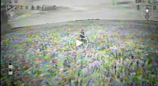 Soldiers of the 66th Separate Motorized Brigade accurately attack Russian infantry with kamikaze drones in the Liman direction