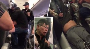 United Airlines потеряла 600 миллионов долларов из-за скандала со снятием с рейса пассажира (3 фото)