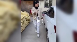 Miracle mats from China for cars