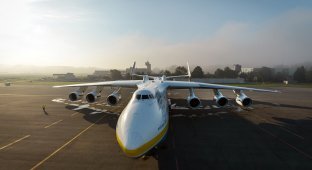 Как устроен Ан-225 «Мрия» - самый большой самолет в мире (30 фото)