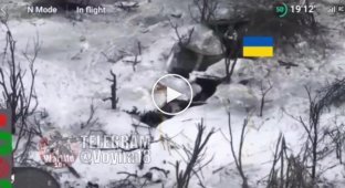 Украинские военные уничтожают двух российских бойцов в ближнем бою на Купянском направлении