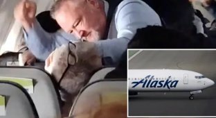 Flight attendant forcibly subdued rowdy passenger who grabbed woman by hair (5 photos + 1 video)