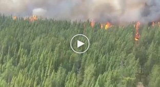 In Canada, entire villages are urgently evacuated due to serious fires