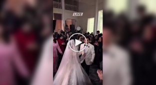 Наречений втік з весілля, щоб пограти в CS з друзями