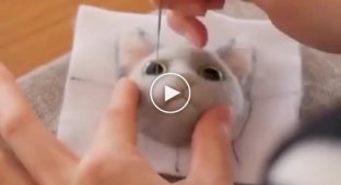 The girl made an incredibly realistic cat head from felted wool