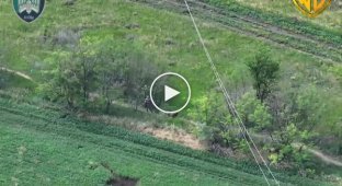 Drones of the 414th brigade destroy Russian infantry