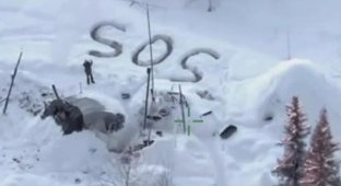 На Аляске спасли мужчину, выживавшего в лесу три недели без жилья и почти без еды (3 фото + 1 видео)
