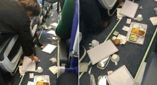 Из-за турбулентности пассажиры парижского рейса остались без обеда (5 фото)