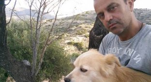 Греческий стоматолог посвятил себя спасению собак (5 фото)