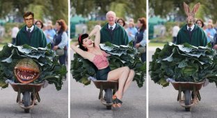 Дедушка с гигантской капустой собрал отличный урожай фотожаб (14 фото)