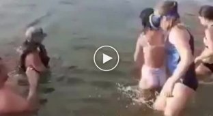 An unforgettable meeting in Primorye. A beluga whale swam to the shore and played with people
