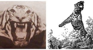 Чампаватская дьяволица, убившая больше 400 человек (8 фото)