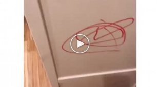 Дети разрисовали квартиру маркерами, пока мамы не было дома