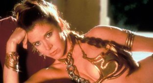 Y-wing fighter and Princess Leia's bikini from Star Wars are up for auction (5 photos)