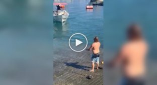 In Mexico, a drunk tourist tried to fight a sea lion