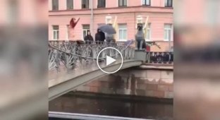 Мужчина решил охладиться в Петербурге, прыгнув с Банковского моста
