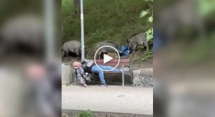 Единение с природой в Польше