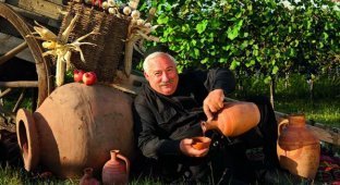 9 основных сортов грузинских вин (10 фото)