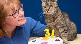 Кот Натмег отпраздновал свой 31-ый день рождения