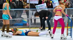 Femen: Акция “Коровы на льду или Ледовое позорище” (9 фото)